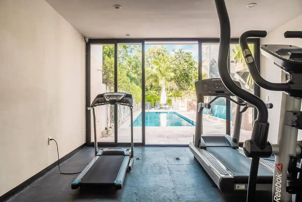 Great Condo In Heart Of Tulum W/ Chef & Transport